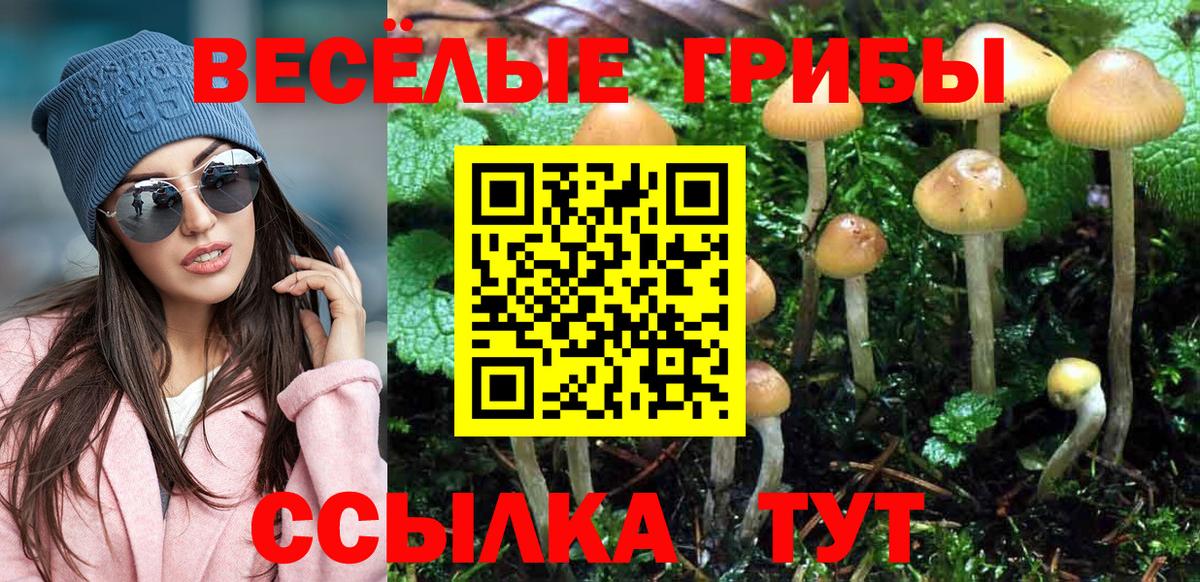 ГАШИШ Подольск