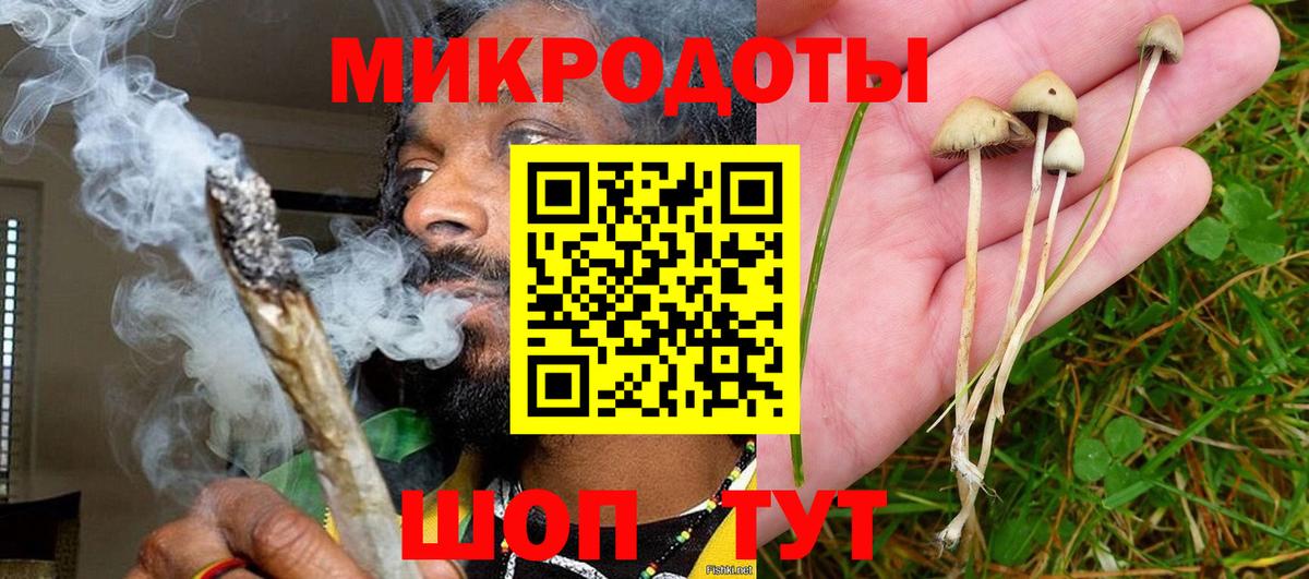Подольск  Галлюциногенные грибы MAGIC MUSHROOMS  Галлюциногенные грибы прущие грибы  Вход с VPN 