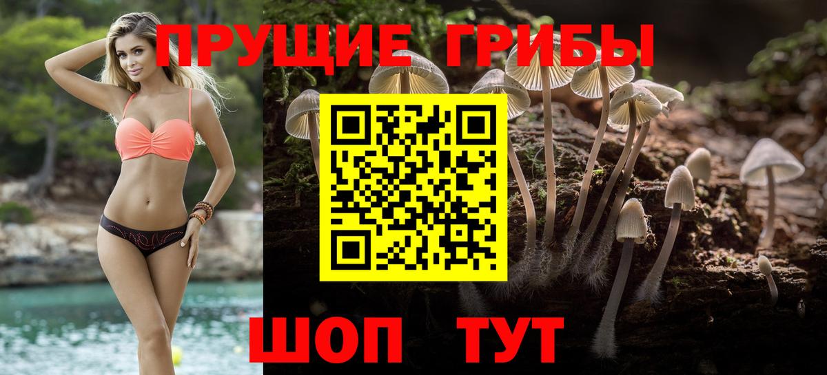 Галлюциногенные грибы мухоморы Подольск